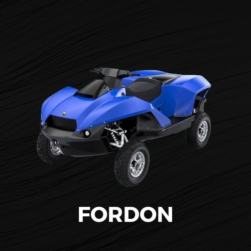 Black Friday Fordon